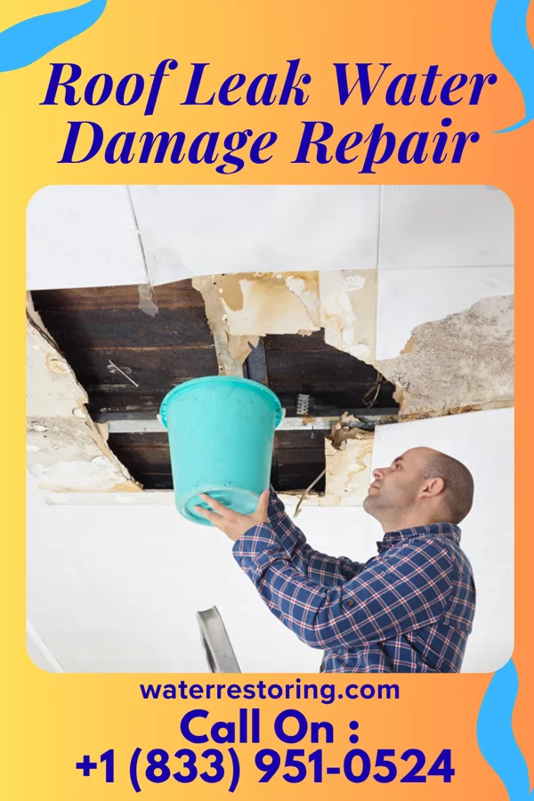 Roof Leak Water Damage Repair in Freeport, TX